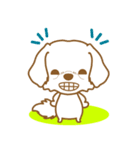 わんこびより(マルチーズ)①（個別スタンプ：38）