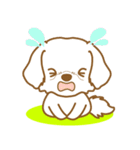わんこびより(マルチーズ)①（個別スタンプ：39）