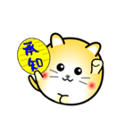 nobobi アニメ 丸いニャンコ（個別スタンプ：1）