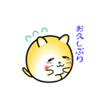 nobobi アニメ 丸いニャンコ（個別スタンプ：23）