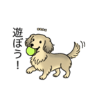 名前入りダックスシェーデッドクリーム（個別スタンプ：1）