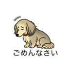 名前入りダックスシェーデッドクリーム（個別スタンプ：2）