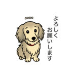 名前入りダックスシェーデッドクリーム（個別スタンプ：4）