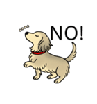 名前入りダックスシェーデッドクリーム（個別スタンプ：8）