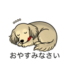 名前入りダックスシェーデッドクリーム（個別スタンプ：9）