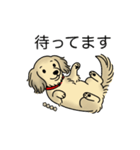 名前入りダックスシェーデッドクリーム（個別スタンプ：10）