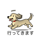 名前入りダックスシェーデッドクリーム（個別スタンプ：13）