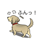 名前入りダックスシェーデッドクリーム（個別スタンプ：14）