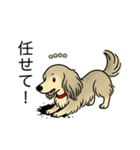 名前入りダックスシェーデッドクリーム（個別スタンプ：15）