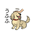 名前入りダックスシェーデッドクリーム（個別スタンプ：19）