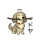 名前入りダックスシェーデッドクリーム（個別スタンプ：21）