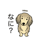 名前入りダックスシェーデッドクリーム（個別スタンプ：22）