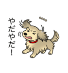 名前入りダックスシェーデッドクリーム（個別スタンプ：23）