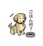 名前入りダックスシェーデッドクリーム（個別スタンプ：24）