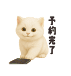 おでかけ・待ち合わせに便利 白猫スタンプ（個別スタンプ：9）