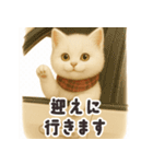 おでかけ・待ち合わせに便利 白猫スタンプ（個別スタンプ：13）