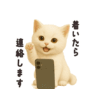 おでかけ・待ち合わせに便利 白猫スタンプ（個別スタンプ：14）