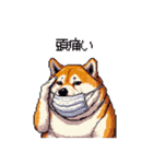 風邪ひき太っちょ柴犬 体調不良の時に（個別スタンプ：3）