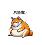 風邪ひき太っちょ柴犬 体調不良の時に（個別スタンプ：4）