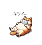 風邪ひき太っちょ柴犬 体調不良の時に（個別スタンプ：6）