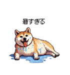 風邪ひき太っちょ柴犬 体調不良の時に（個別スタンプ：12）
