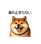 風邪ひき太っちょ柴犬 体調不良の時に（個別スタンプ：13）
