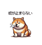 風邪ひき太っちょ柴犬 体調不良の時に（個別スタンプ：14）