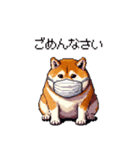 風邪ひき太っちょ柴犬 体調不良の時に（個別スタンプ：17）