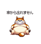 風邪ひき太っちょ柴犬 体調不良の時に（個別スタンプ：21）