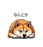 風邪ひき太っちょ柴犬 体調不良の時に（個別スタンプ：22）