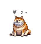 風邪ひき太っちょ柴犬 体調不良の時に（個別スタンプ：24）