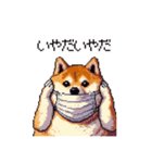 風邪ひき太っちょ柴犬 体調不良の時に（個別スタンプ：25）
