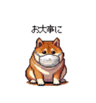 風邪ひき太っちょ柴犬 体調不良の時に（個別スタンプ：28）