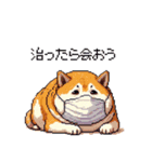 風邪ひき太っちょ柴犬 体調不良の時に（個別スタンプ：31）