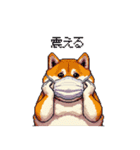 風邪ひき太っちょ柴犬 体調不良の時に（個別スタンプ：32）