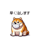 風邪ひき太っちょ柴犬 体調不良の時に（個別スタンプ：35）