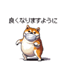 風邪ひき太っちょ柴犬 体調不良の時に（個別スタンプ：36）