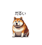 風邪ひき太っちょ柴犬 体調不良の時に（個別スタンプ：37）