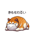 風邪ひき太っちょ柴犬 体調不良の時に（個別スタンプ：38）