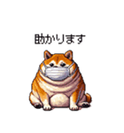 風邪ひき太っちょ柴犬 体調不良の時に（個別スタンプ：39）