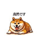 風邪ひき太っちょ柴犬 体調不良の時に（個別スタンプ：40）