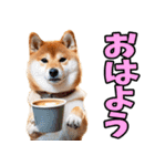 大分弁☆柴犬（個別スタンプ：5）