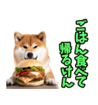 大分弁☆柴犬（個別スタンプ：9）