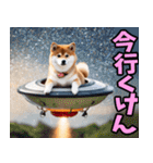 大分弁☆柴犬（個別スタンプ：17）