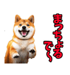 大分弁☆柴犬（個別スタンプ：18）