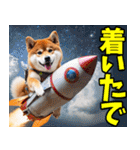 大分弁☆柴犬（個別スタンプ：25）