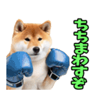 大分弁☆柴犬（個別スタンプ：32）