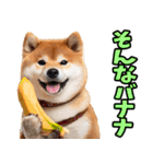 大分弁☆柴犬（個別スタンプ：33）