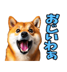 大分弁☆柴犬（個別スタンプ：39）