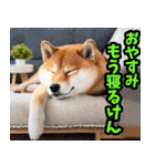 大分弁☆柴犬（個別スタンプ：40）